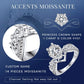 Accents moissanite ring